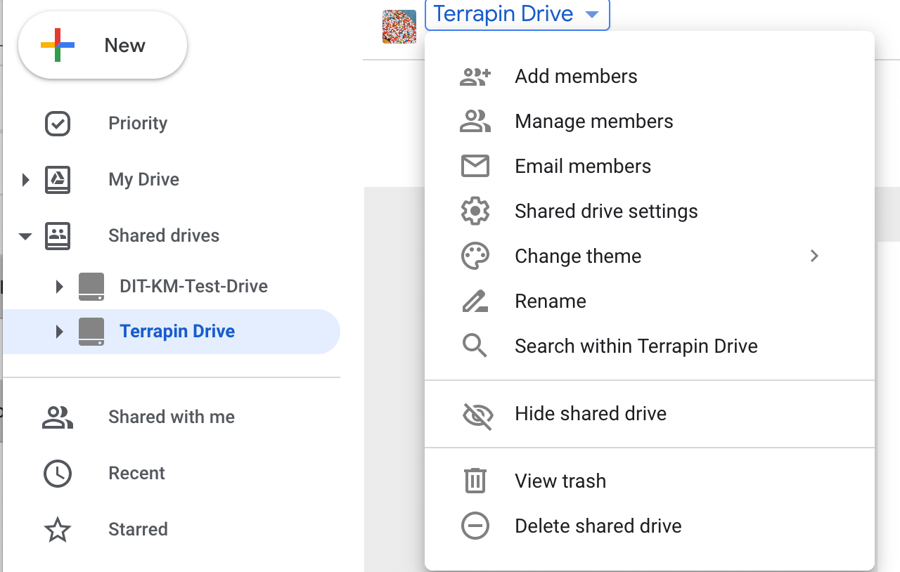 Shared Drive Permissions