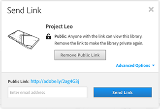 The send link screen allows you to remove a public link, send the public link using an email field and shows the link.
