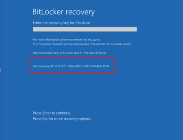 BitLocker Recovery ID
