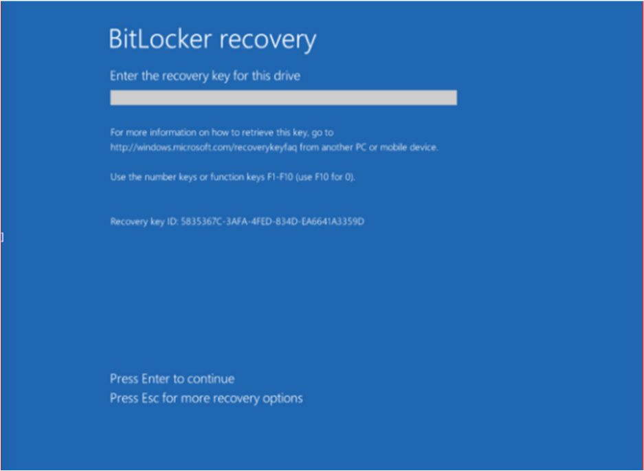 BitLocker Recovery mode Window