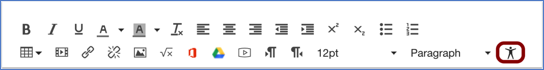 ELMS Accessibility Checker