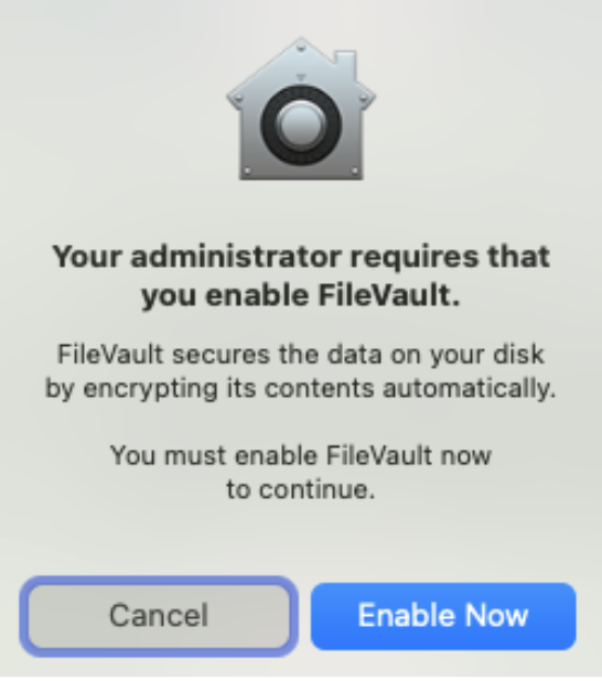 Window for enabling filevault