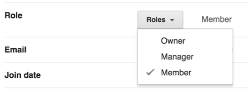 Google Groups Roles