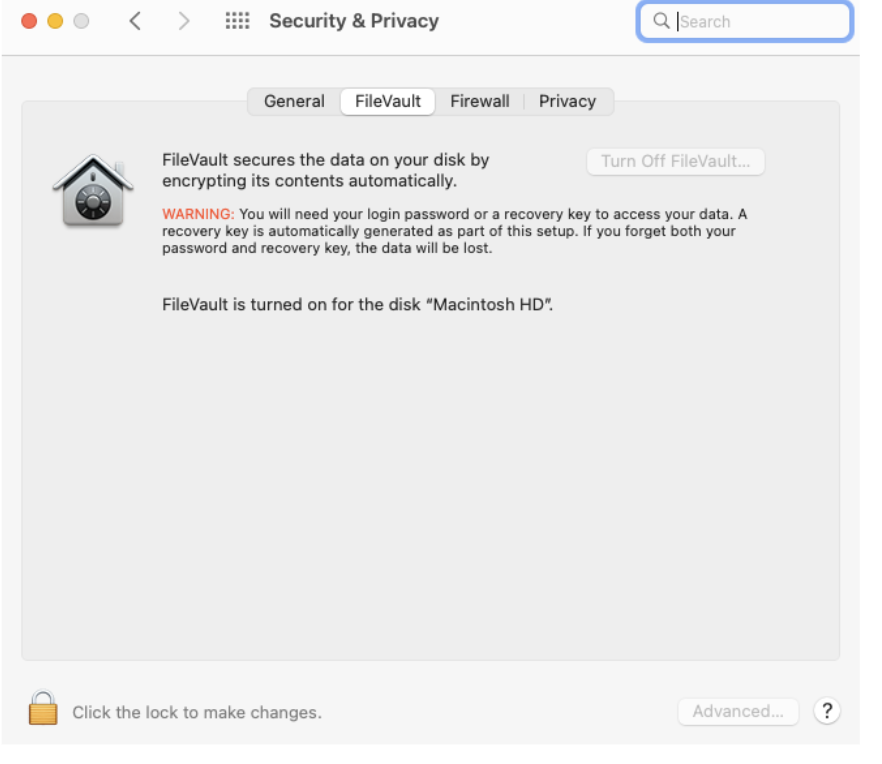 Security and Privacy window describing FileVault
