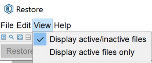View then display active/inactive files.