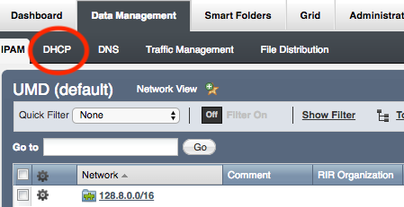 Click DHCP in Infoblox