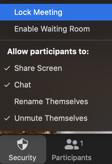 In Meeting Zoom Security options with Lock Meeting highlighted.